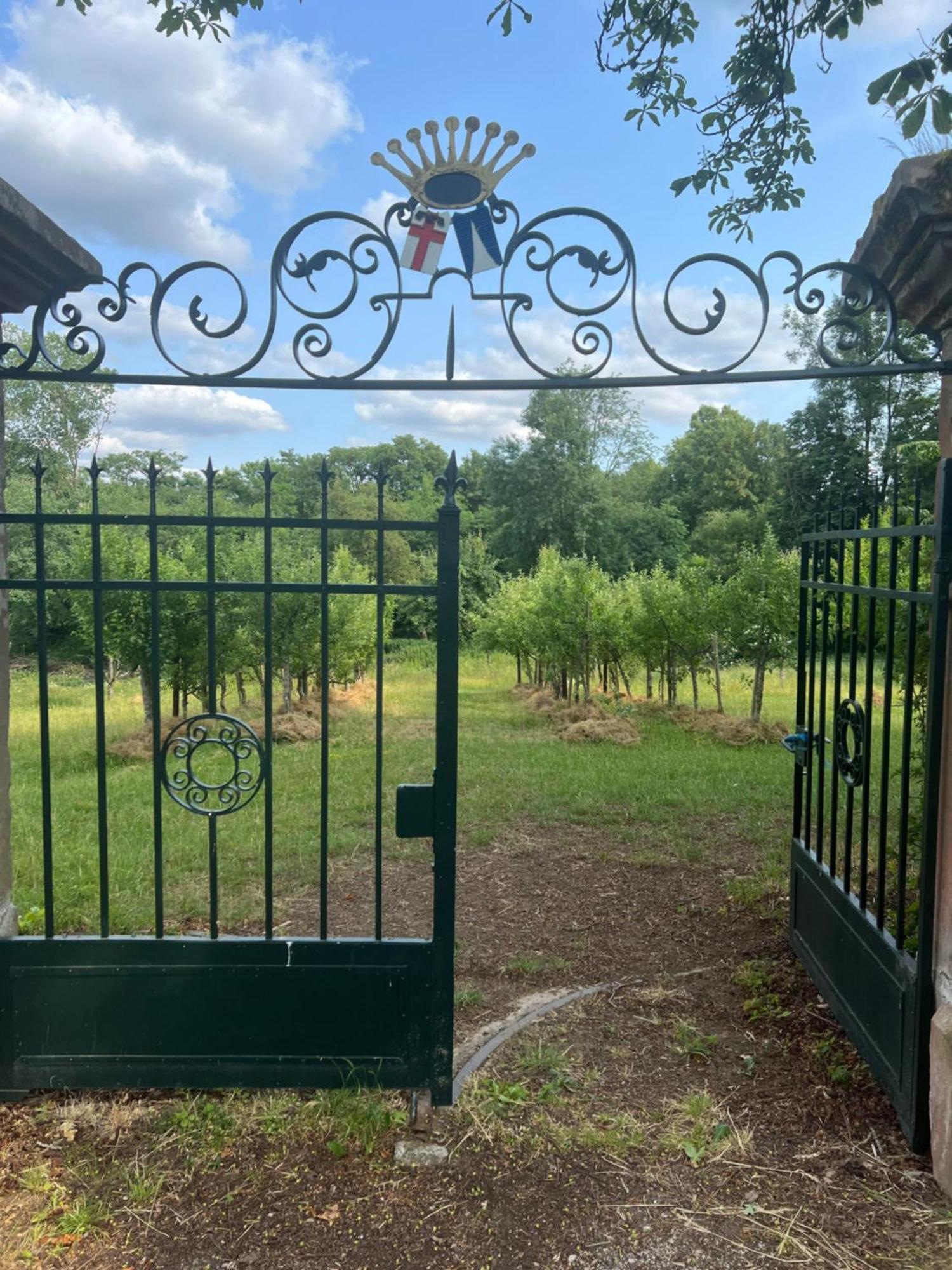 L' Extravagante Im Garten Von Schloss Schmidtheim Kültér fotó
