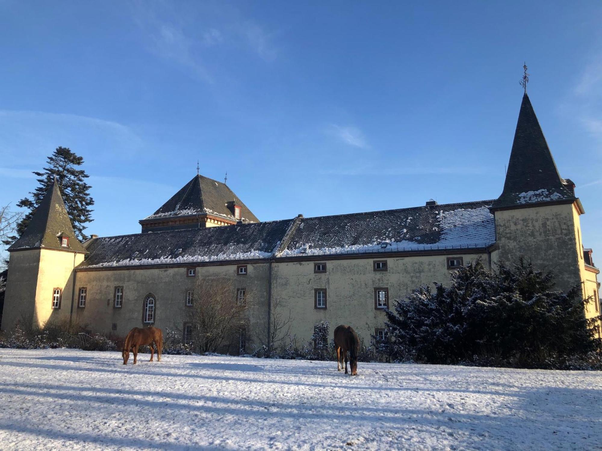 L' Extravagante Im Garten Von Schloss Schmidtheim Kültér fotó